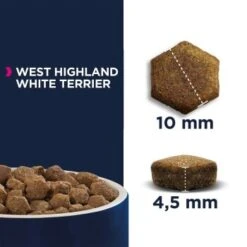 EUKANUBA Breed Specific West Highland White Terrier 2,5kg -Haustierprodukte b61eec98cbd21c988b77b36677f4116c18b57e2d 1fbba6259a52053ff1ef94dbbaa758ef537ef35c