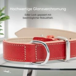 Freudentier Gefüttertes Halsband Aus Leder Rot L -Haustierprodukte b6a6115b4bff2377ef42c420cc3939331dd65eb4 1655241 de DE 6d5809524c7eef7e530141859c494be8d690f770ogbuUj