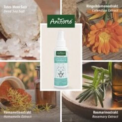 Aniforte Dentalspray Zahnpflege Spray 100ml -Haustierprodukte b8c2494df30b706b215daba4b3b66c8a0a3adb3b 1439278 de DE f771ceb2289f6e14df78bea1815642d81ce3e3cf9ASqvV