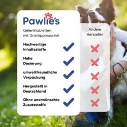 Pawlie's Gelenk Fit Tabletten Hund (100 Stück) 8 Pawlie's Gelenk Fit Tabletten Hund (100 Stück) -Haustierprodukte b9d79a00d67b99c0858edb19e971d90fb264a11a 1626201 de DE 27310c0918c8a42ec1a1d7c48a58ab25d3c83a7dMEeGjZ