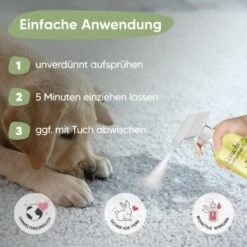 Pawlie's Tier-Geruchsentferner -Haustierprodukte ba4e72bd0856659ee703976c3992ad377159a32b 1626202 de DE 09ba7a0a0323d0ef51bb3689b7ee854b0f5c28feEmQBAQ