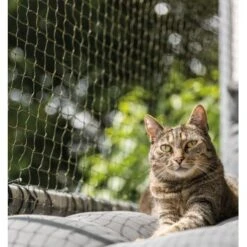 Trixie Katzenschutznetz Cat Protect 2 M, 1,5 M 5 Trixie Katzenschutznetz Cat Protect 2 M, 1,5 M -Haustierprodukte bc6f0b8052c3a5b997776619d64762770aac1a9d 1017572 de DE trixie schutznetz wb2