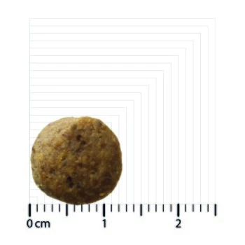 BOZITA Dog Original Puppy&Junior XL 12kg 2 BOZITA Dog Original Puppy&Junior XL 12kg – Bild 2