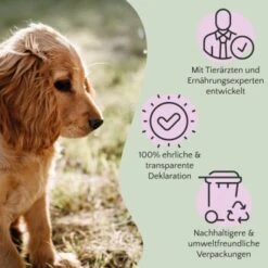 FAVLY Petfood PURE Bites Veggie 360 G 7 FAVLY Petfood PURE Bites Veggie 360 G -Haustierprodukte bec0cf8f032cb202461664cbfe5564f4eeab2e9b 1474000 de DE 9c441cea117e17df2d31039760b88fa0cc1eb6acALFkfB