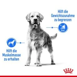 ROYAL CANIN Light Weight Care Medium 12 Kg -Haustierprodukte c20cbc5fbbaf80a286086f39d304eb3b78f86bf5 1376169 de DE asa 4