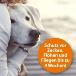 Ardap Zeckenspray Zur Anwendung Am Tier 250ml -Haustierprodukte c211242df7e08f33fd5b606730fbf3d298e6cd4c 1288166 de DE 0495e7c3c66b5adb548c78a490f9c5a9804bc777AYMdPn