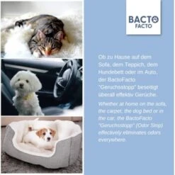 ChronoBalance BactoFacto Probiotischer Geruchsstopp Pads Für 2 Liter 20 Ml -Haustierprodukte c27e75fc226c89e592b2af9866887997e79057a8 1397549 de DE 11eaf103bff429178d8c79950fc83faf63345183BU6JEF