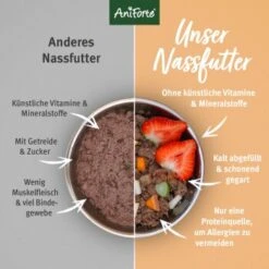 Aniforte Nassfutter Junior Menue Rind 6 X 400g -Haustierprodukte c2e75b262ff12f83f839719a9483cddaad270737 1422191 de DE 3fda242879e219156dcdb1dcfd44b6fb4c8a39d7f9QLKX