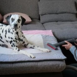 THOMAS AQUA+ Pet & Family 17 THOMAS AQUA+ Pet & Family -Haustierprodukte c3381bf4158feb85ebfd3f3d8bb59ef108b95290 1408595 de DE f1089c65a30ba894d2939997310129f1b316d2cdCtnGOW