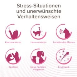 Beaphar CatComfort Excellence Starter-Kit 48ml -Haustierprodukte c5acac2221a0b2cf3e7346d9f61b6606812afde8 1416646 1 1