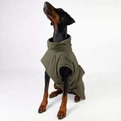 THE DOG IDEA Bademantel Every Khaki XXXS -Haustierprodukte c6567ee5fa23ab9a22b56936e6d4134ee2acea14 1473018 de DE 152849e6e27b535b9a56967a3d0992ac03ebbc6b46CQen