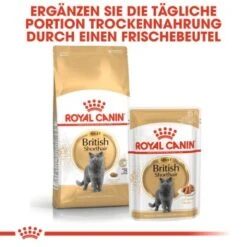 ROYAL CANIN British Shorthair Adult 2 Kg -Haustierprodukte c753bd00548b3887de38170504d89850cc579133 6ad27fa67d71d664216d6c9c00894ac1ba874172