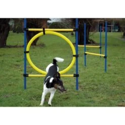 Dobar 3-teiliges Agility Sprung-Set,, Inkl. Tragetasche 8 Dobar 3-teiliges Agility Sprung-Set,, Inkl. Tragetasche -Haustierprodukte c7c9dd298510f0bd74d586405ecbd396df04c759 313726f2dd166c5ec13855d4374275bbe5eeeeec