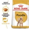 ROYAL CANIN Poodle Adult 7,5 Kg