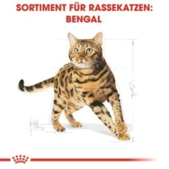 ROYAL CANIN Bengal Adult 10 Kg -Haustierprodukte cb3c9b745b0cf6e86ca2308b544461de43105143 e7122eb5a9e8a316aad32423edb5418ecd6d24cd