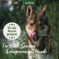 Aniforte Trockenfutter LandChicken - Zartes Huhn Mit Reis 2 Kg -Haustierprodukte ccdccba22db20132f6ff6d85dd45b1297bf8942a 1668916 de DE ab8d93a2aba26d4d3d9191665a57d8e6fecc366ahRURHR