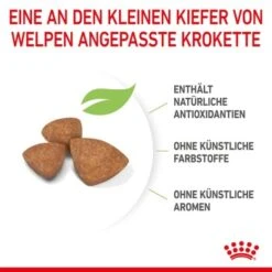 ROYAL CANIN X-Small Puppy 1,5 Kg 15 ROYAL CANIN X-Small Puppy 1,5 Kg -Haustierprodukte cd740569d7f53df838517c3fee54f2cd1982cf0a 3182550793636 5