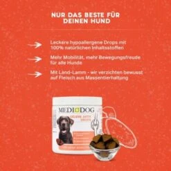 MediDog Gelenk Aktiv Drops -Haustierprodukte ce4b4dc101e61c8b01790fff349fad9c45904630 1660398 de DE 7e78786d5b2ebd33c814e31255213190777161efkciGAC
