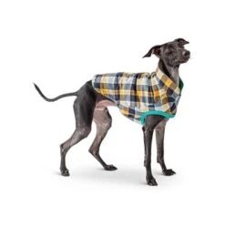 GF Pet Reversible Trail Jacke Grün XXS -Haustierprodukte d0d86a70089b79c26342e2430bae8caf960ccaed befa58813c2949e634e5b991f29c2ef187a974fc