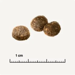 REAL NATURE WILDERNESS Adult Probierpaket Mixpaket 1, Mix-Pack -Haustierprodukte d13ec079dfc733868201f90c68c1160fb8a8b3ec 1267094 de DE 6