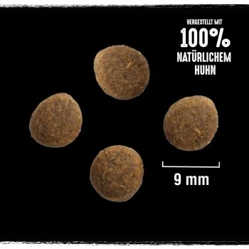 CRAVE Mit Truthahn Und Huhn 2,8 Kg 2 CRAVE Mit Truthahn Und Huhn 2,8 Kg – Bild 2