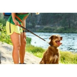 Ruffwear Quick Draw™ Leine 17 Ruffwear Quick Draw™ Leine -Haustierprodukte d1a8c18e035818dbf1ed58b97fddffe01ede0173 1651494 de DE 4f873f7c5bfacd53d1273d7707320a62f83c3e3a8YUebM