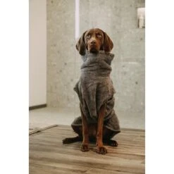 Lills Lill's Hundebademantel "Night Blue" 35 Cm 5 Lills Lill's Hundebademantel "Night Blue" 35 Cm -Haustierprodukte d200b579b2b65ad9031ca5a6286c317e485ef232 1653379 de DE 98bc74239c4ab048310224eeb67c837697c0c318SRPWrI