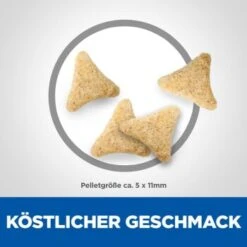 Hill's Science Plan Hairball Indoor Adult Mit Huhn 3 Kg 13 Hill's Science Plan Hairball Indoor Adult Mit Huhn 3 Kg -Haustierprodukte d22915eed5f581b2aadd8692cf33e6afbd622437 52742024011 6