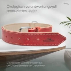 Freudentier Gefüttertes Halsband Aus Leder Rot L -Haustierprodukte d409cad84e2e26e5e855246f3d62526ca2fa7cd7 1655241 de DE b688ee419d994f89d4885d7f15c32b5b6f7cc00bZYodZu