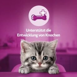 Whiskas Snacks Milch-Kätzchen 8x55g -Haustierprodukte d40f803902d594769f1e87f889e3ed602e69b52a 1335585 de DE Whiskas 1