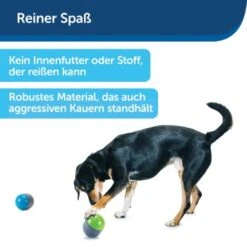PetSafe Elektronisches Hundespielzeug Ricochet -Haustierprodukte d4449f153a2c132dbacdcffdb9e5bd1534d39124 1418724 de DE f83cfc689e8023f0b85b6eeadf79a2629df4d4f153I9wY
