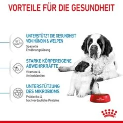 ROYAL CANIN Giant Starter 15kg -Haustierprodukte d514ef03606b57b35e1895eeb5926efaddf3e02c 3182550778831 5