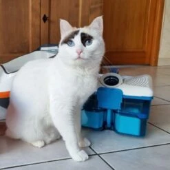 THOMAS Staubsauger -Haustierprodukte d74e3cdb93ec3dcec33da8a346880210d1823b1e 1406733 de DE 817045830cc32e31da1f6ec74c9727ecafc6b086XIONN0