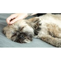 Mammaly Forever Young 110g -Haustierprodukte d75e80309e38d9419395e04d6d462b3faf057eae 1472891 6