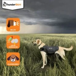 Thundershirt Beruhigungsweste Grau XS -Haustierprodukte dba829e1909f5c4f6710e4085b27664b9bf6ac3e 1102942 2