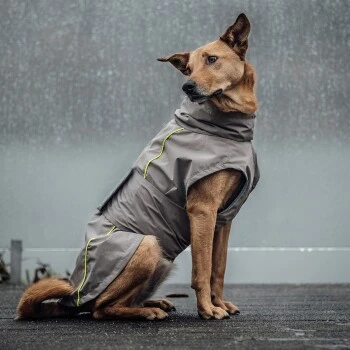 THE DOG IDEA Regenmantel Duke Greige XXXS 6 THE DOG IDEA Regenmantel Duke Greige XXXS – Bild 6