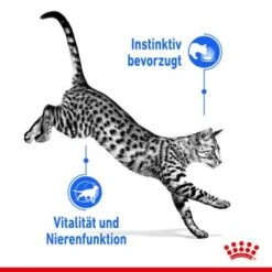ROYAL CANIN Indoor 7+ Sterilised 12x85g In Gelee -Haustierprodukte dca22440cb7827635f09500dad8e99b040f2182a c2f7cdfba5615f6a0f166d3fda177842edcfb7e7