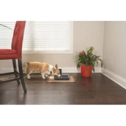 PetSafe Digitaler Futterautomat Für 2 Mahlzeiten -Haustierprodukte dd3fb1748ad72abb1dbd97f6f077b00bb4d76d05 1291255 de DE cf72a75b3fd4f7fd8b7e51ea368585b22239110fFJga5O