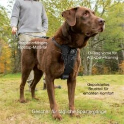 Kurgo Tru-Fit Smart Hundegeschirr XS 10 Kurgo Tru-Fit Smart Hundegeschirr XS -Haustierprodukte dfbefdb5cf1d59684ff67b5f978c9da5ad4d6801 1481169 de DE 388e931619b4f142b5510c311a315484232475c29AvRiq