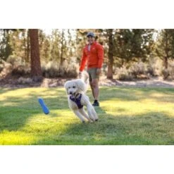 Ruffwear Gourdo™ Spielzeug L Violett 18 Ruffwear Gourdo™ Spielzeug L Violett -Haustierprodukte e0043bb37798e694605eafae31f43ab1b08a1b0e 1639892 de DE 14d32b95607116f791fa89977cce0163703631adnlxQik