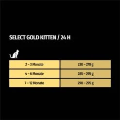 SELECT GOLD Kitten 12x85 G -Haustierprodukte e199c30a8062f05a16c4f0c125219f864273bcc1 1099251 de DE 7