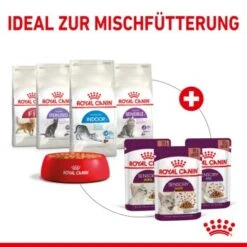 ROYAL CANIN SENSORY Taste In Soße Für Wählerische Katzen 12x85g -Haustierprodukte e338f1b738e71508a649c05340bf628bcfb35778 4d355f831b542f8ae284d999b5f903f6ee374b56