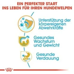 ROYAL CANIN Labrador Retriever Puppy 12 Kg 14 ROYAL CANIN Labrador Retriever Puppy 12 Kg -Haustierprodukte e35f0db40fad83782fbb2e5385722474800de9a3 ead22dc32e6771e545a9efab52681b0db28bce34