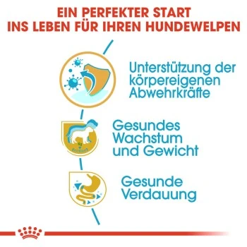 ROYAL CANIN Labrador Retriever Puppy 12 Kg 7 ROYAL CANIN Labrador Retriever Puppy 12 Kg – Bild 7