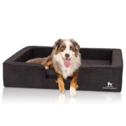 Knuffelwuff Orthopädisches Hundebett Mit Wendekissen Aus Velours Bellamy Schwarz M-L 9 Knuffelwuff Orthopädisches Hundebett Mit Wendekissen Aus Velours Bellamy Schwarz M-L -Haustierprodukte e3b7bc46ae320ad688559fbe65b93d653050af29 1412229 de DE a8fed7047a4b2b7c518b9afe1b1b115d3d9d2c8emVyF8X