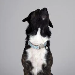 THE DOG IDEA Boho-Chic Halsband Sky S 7 THE DOG IDEA Boho-Chic Halsband Sky S -Haustierprodukte e4b3c21c18cb662f31589c64dbf999f08cc7dd71 1485276 de DE 04533c3b55e4cd6d5cfc78f632290e4fe1832996kXES09