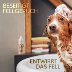 Pawlie's Hundeshampoo Für Langhaar -Haustierprodukte e65234d72e0adb949f3fa491484e6ad7c7481584 1626203 de DE ce4f7e431ef810d9abd2a895abbb82da132a6dd7K3n77W