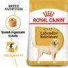ROYAL CANIN Labrador Retriever Adult 12 Kg