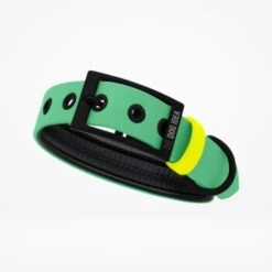 THE DOG IDEA Biothane Halsband Mint Mint S