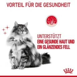 ROYAL CANIN Hair & Skin Care 2 Kg -Haustierprodukte e72e5a130ddb229ae62e4146a3b2cfdcf7f8fd19 1003122007 4